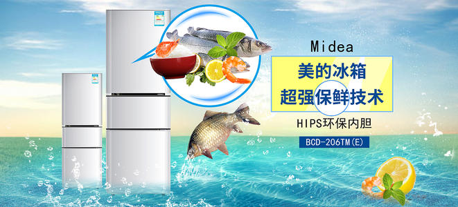 布鲁内尔大学Scienceandtechnologydiploma